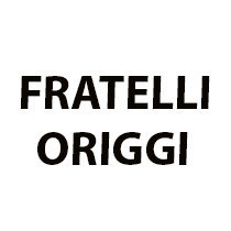 F.LLI Origgi
