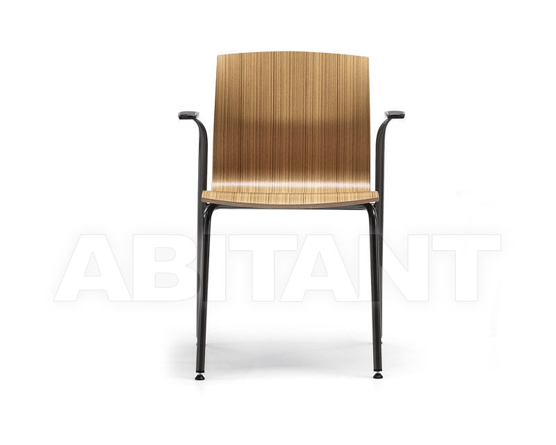 Купить Стул с подлокотниками WEBWOOD Talin 2015 WEBWOOD 358-2