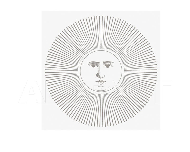 Купить Плитка настенная Ceramica Bardelli  DESIGN Soli e Lune Platino Bianco Extra 