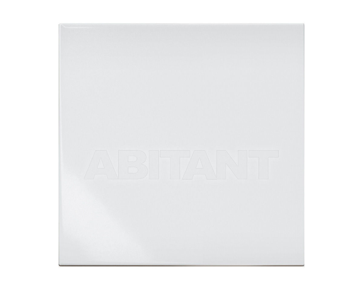 Купить Плитка настенная Ceramica Bardelli  Color BIANCO EXTRA