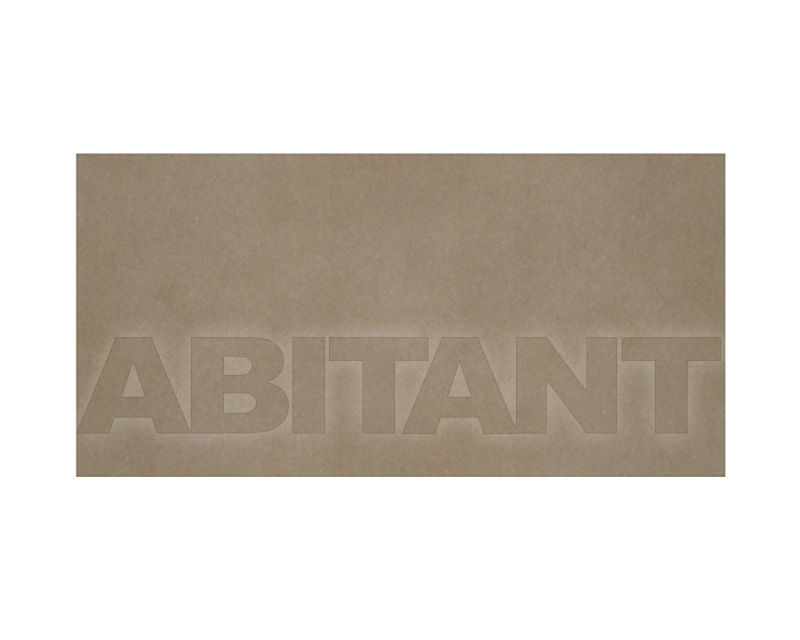 Купить Плитка  Ceramica Sant'Agostino Natural Trend CSAT30TA00