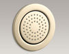 Форсунка WaterTile Kohler 2015 K-8014-BV Современный / Скандинавский / Модерн