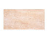 Плитка  Ceramica Sant'Agostino Exotic CSAEXOBE00 Современный / Скандинавский / Модерн
