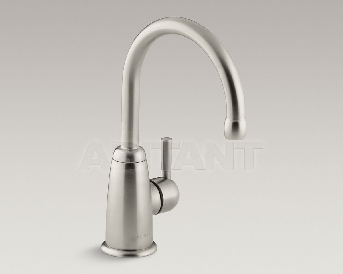 Купить Смеситель для кухни Wellspring Kohler 2015 K-6665-BN