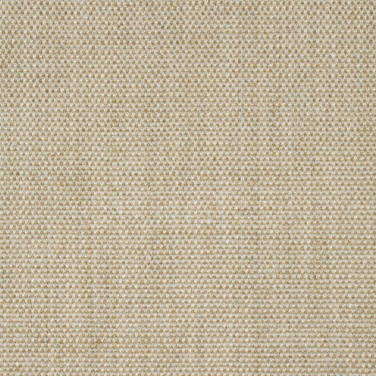 Купить Интерьерная ткань Louie  Style Library Delphine Wools & Textures HCOW130312