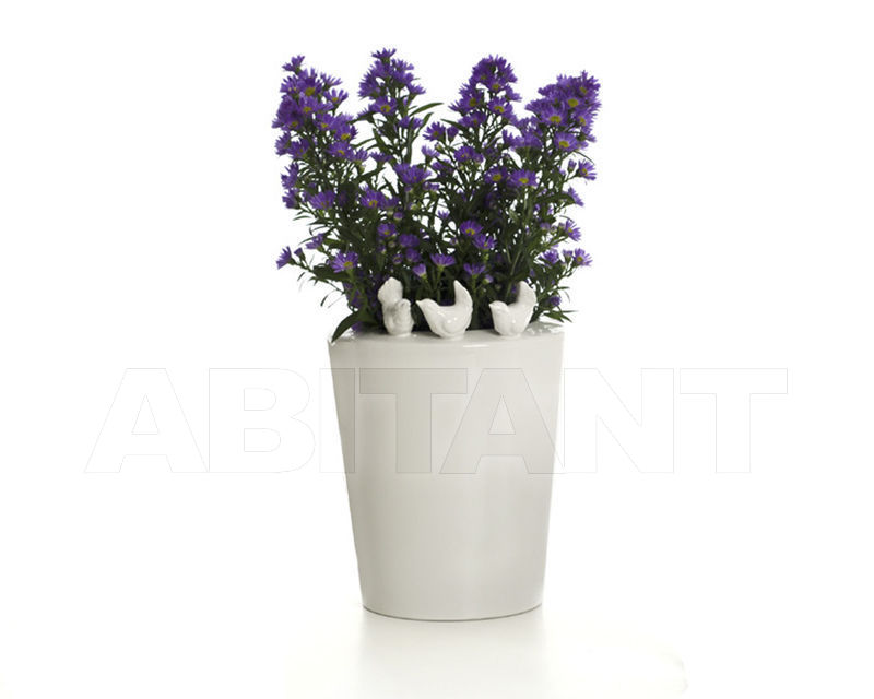 Купить Ваза REBIRTH by Ceramiche ML UNCONVASE V17