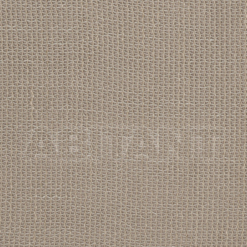 Купить Интерьерная ткань Vervain Barry Dixon Collection 2014 Barry Dixon Fall 2014 GAWAIN SHEER