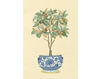 Фотообои Iksel  Decorative Panels Iznik Bonsais IZB 10 Восточный / Японский / Китайский