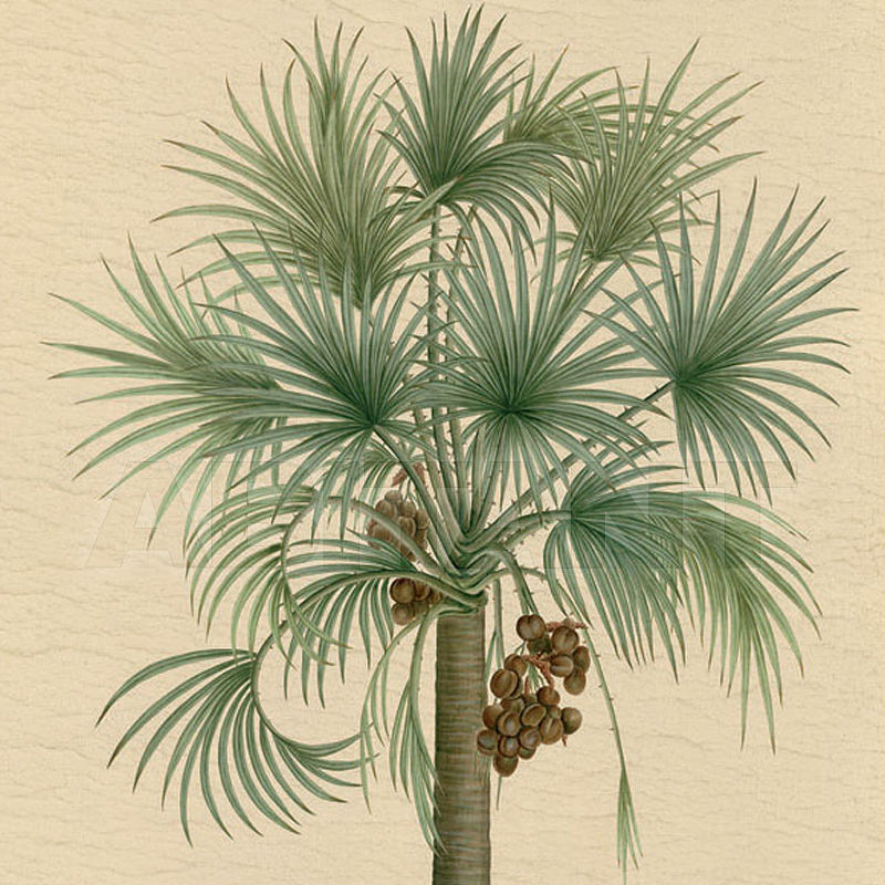 Купить Бумажные обои Iksel  Decorative Panels Potted Palms PT 01