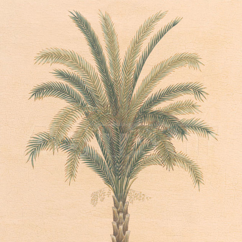 Купить Бумажные обои Iksel  Decorative Panels Potted Palms PT 09