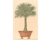 Бумажные обои Iksel  Decorative Panels Potted Palms PT 15 Восточный / Японский / Китайский