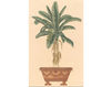 Бумажные обои Iksel  Decorative Panels Potted Palms PT 16 Восточный / Японский / Китайский