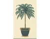 Бумажные обои Iksel  Decorative Panels Potted Palms Regina Palm 1 Восточный / Японский / Китайский