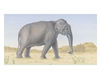 Бумажные обои Iksel  Decorative Panels Animals AN 3 Восточный / Японский / Китайский