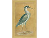 Бумажные обои Iksel  Decorative Panels Watteau Birds Walt 1 Восточный / Японский / Китайский