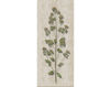 Бумажные обои Iksel  Decorative Panels Herbier Herb 3 Восточный / Японский / Китайский