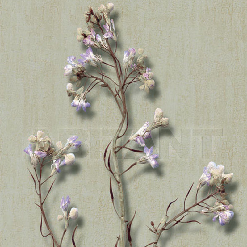 Купить Бумажные обои Iksel  Decorative Panels Herbier Herb 7