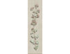 Бумажные обои Iksel  Decorative Panels Herbier Herb 1 Восточный / Японский / Китайский
