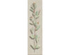 Бумажные обои Iksel  Decorative Panels Herbier Herb 2 Восточный / Японский / Китайский