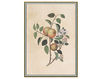 Бумажные обои Iksel  Decorative Panels Renaissance Herbier RH 2 Восточный / Японский / Китайский
