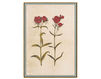 Бумажные обои Iksel  Decorative Panels Renaissance Herbier RH 9 Восточный / Японский / Китайский