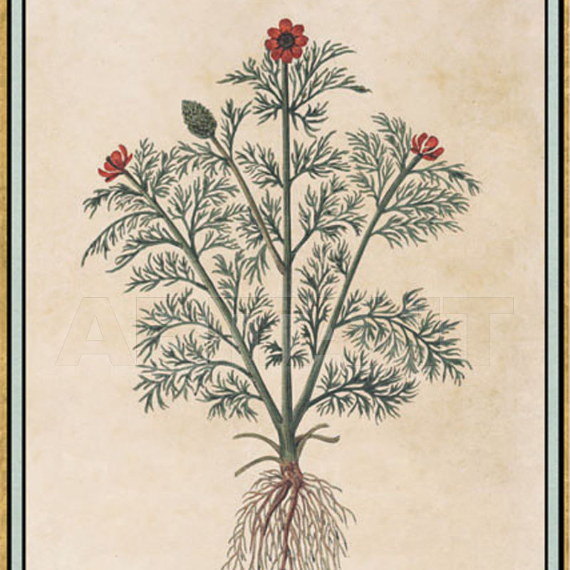 Купить Бумажные обои Iksel  Decorative Panels Renaissance Herbier RH 11