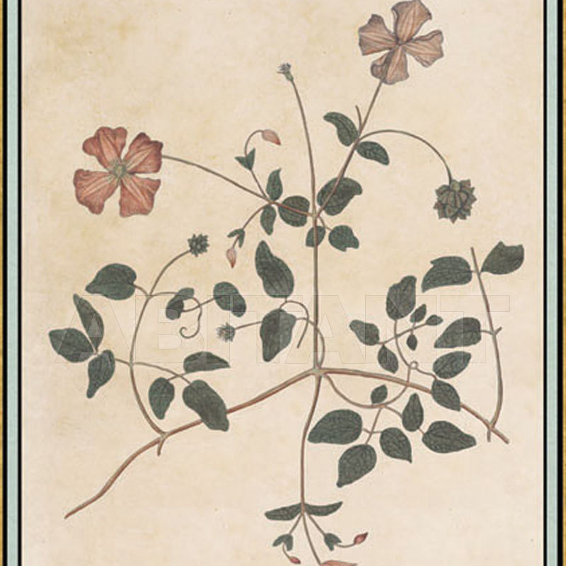 Купить Бумажные обои Iksel  Decorative Panels Renaissance Herbier RH 29