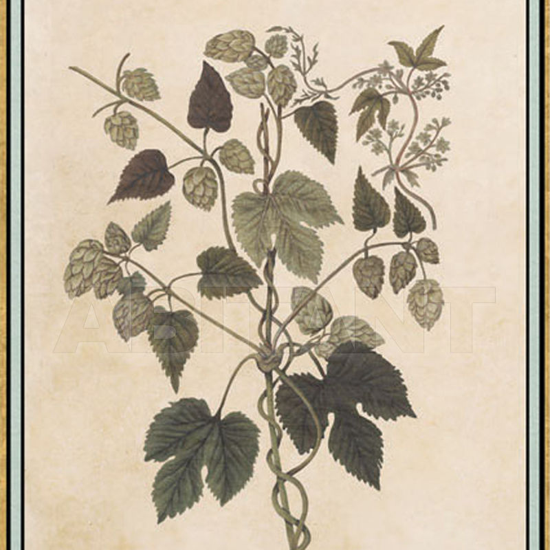 Купить Бумажные обои Iksel  Decorative Panels Renaissance Herbier RH 35