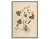 Бумажные обои Iksel  Decorative Panels Renaissance Herbier RH 21 Восточный / Японский / Китайский