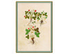 Бумажные обои Iksel  Decorative Panels Renaissance Herbier RH 25 Восточный / Японский / Китайский