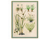 Бумажные обои Iksel  Decorative Panels Renaissance Herbier RH 26 Восточный / Японский / Китайский