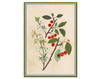 Бумажные обои Iksel  Decorative Panels Renaissance Herbier RH 18 Восточный / Японский / Китайский