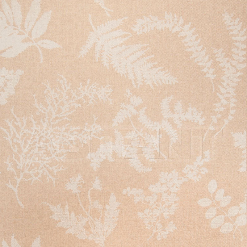 Купить Бумажные обои Stroheim SILHOUETTES WALLCOVERING WILDFLOWERS PAPERWEA Bisque On Natural