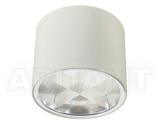 Светильник ALS 2012 APNN-21801