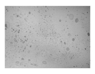 Настенная панель Alex Turco Abstract Silver Star Dust