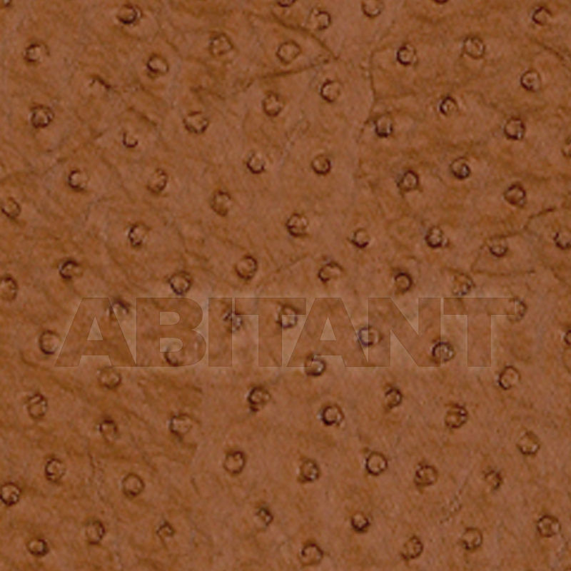Купить Виниловые обои NATURAL OSTRICH Thibaut Inc. Texture Resource 3 T6826