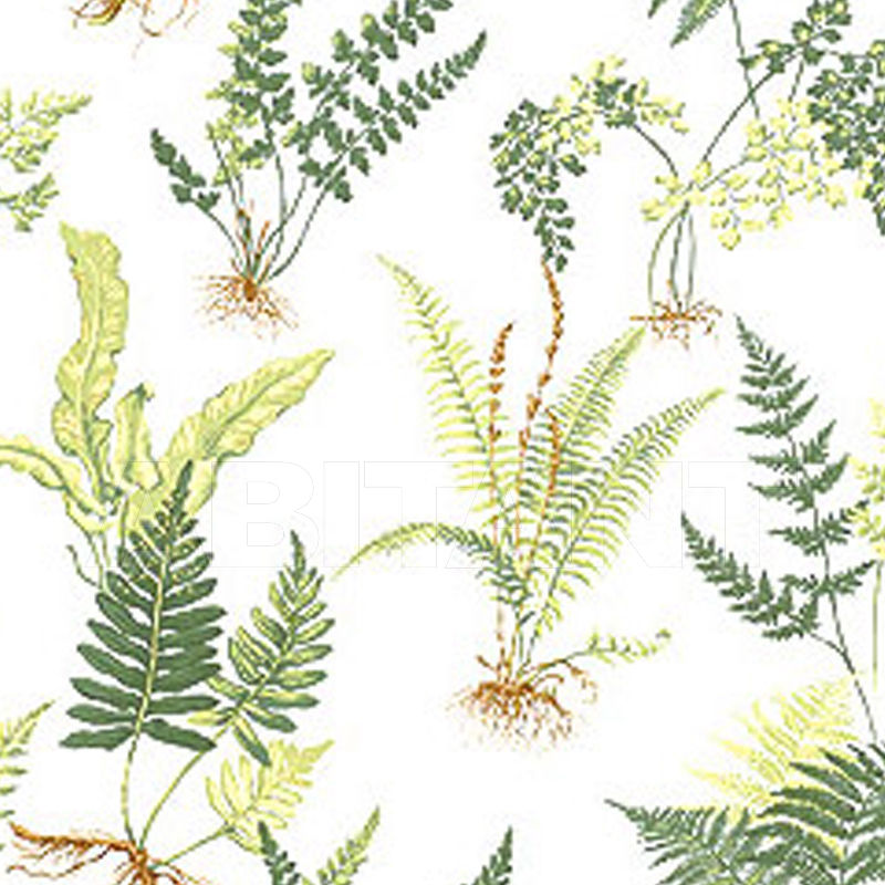 Купить Бумажные обои FERNS Thibaut Inc. Thibaut Classics TC2711