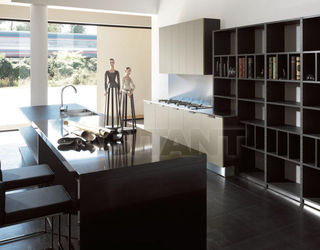 Кухонный гарнитур Aster Cucine Monografia ATELIER