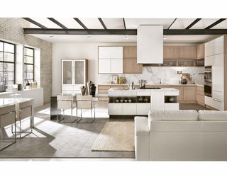 Кухонный гарнитур Aster Cucine Monografia TIMELINE 2