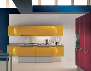 Кухонный гарнитур Aster Cucine Monografia TRENDY SPACE 3