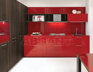 Кухонный гарнитур Aster Cucine Monografia NOBLESSE 3