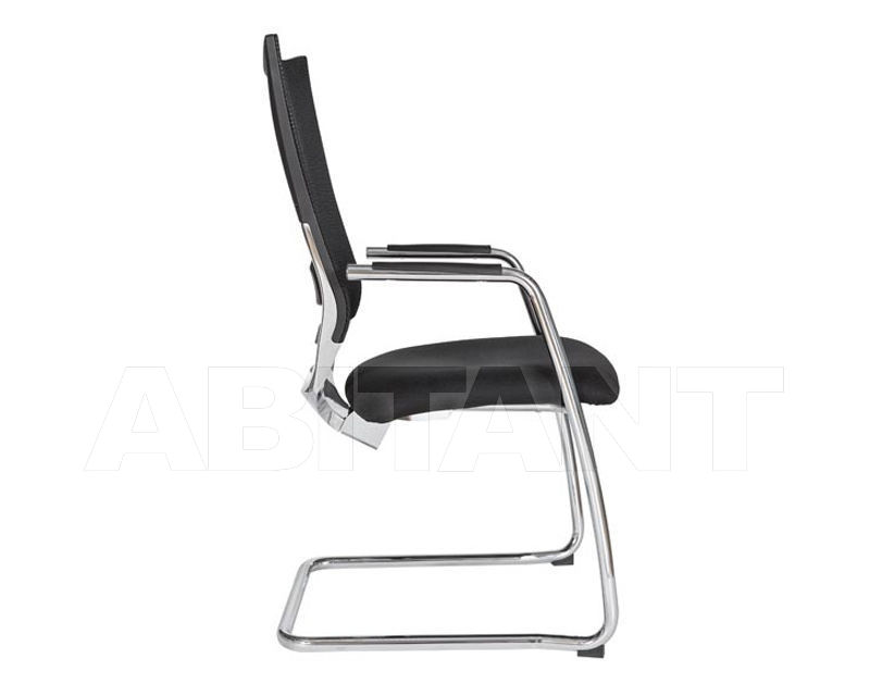 Купить Стул с подлокотниками Babini Spa Seating  WELL11K