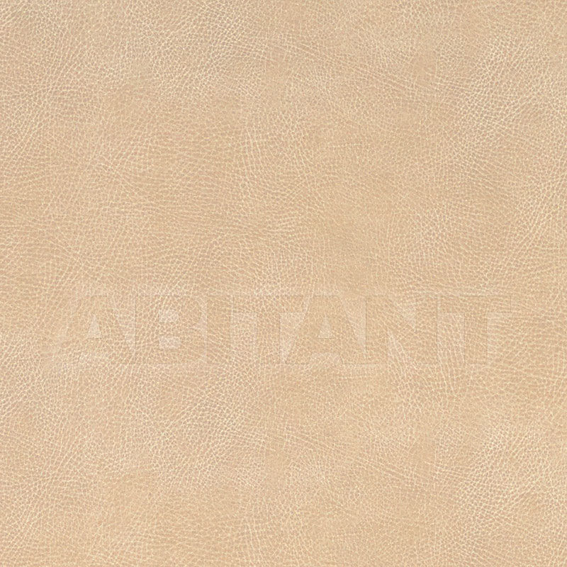 Купить Интерьерная ткань BRISA SOLEIL DISTRESSED F. Schumacher & Co. FABRICS 396-3024