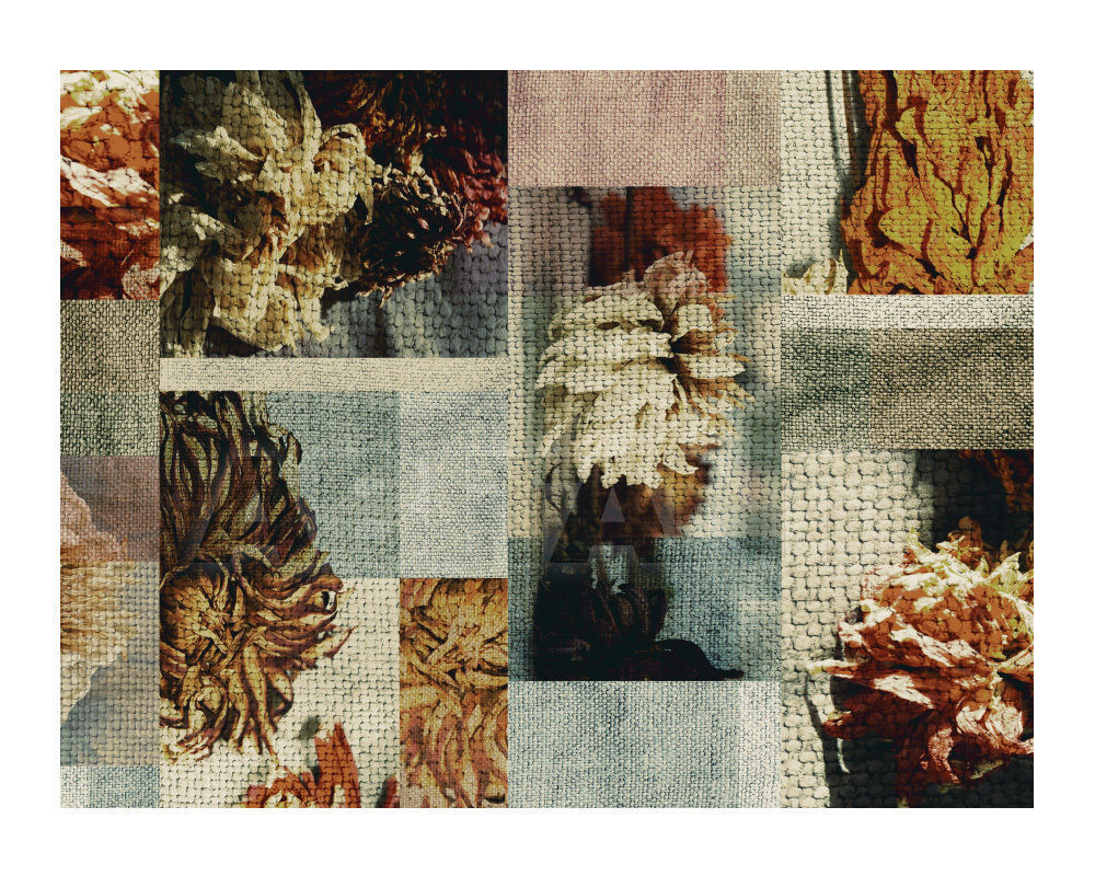 Купить Ковровое покрытие Ege  Wall-to-wall carpets RF52752824