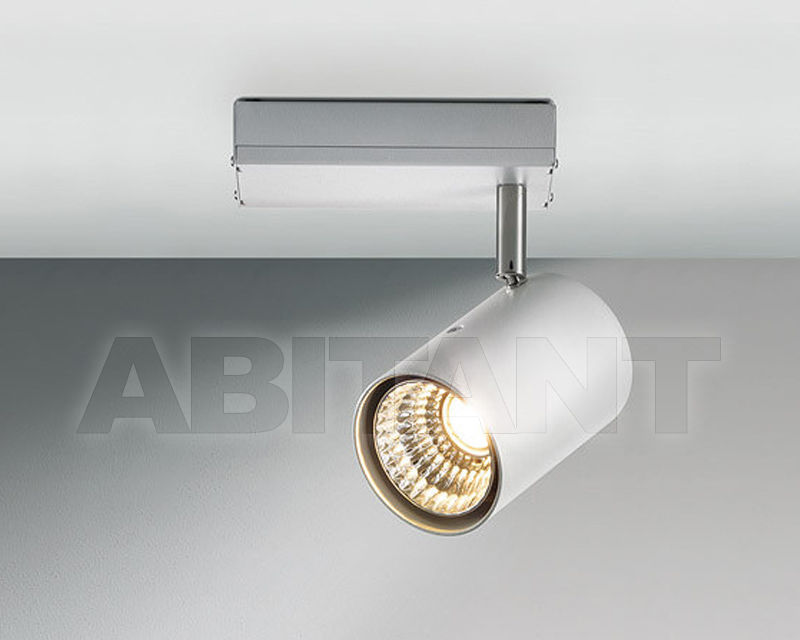 Купить Светильник-спот  Licht Im Raum 2018 234SP001TI