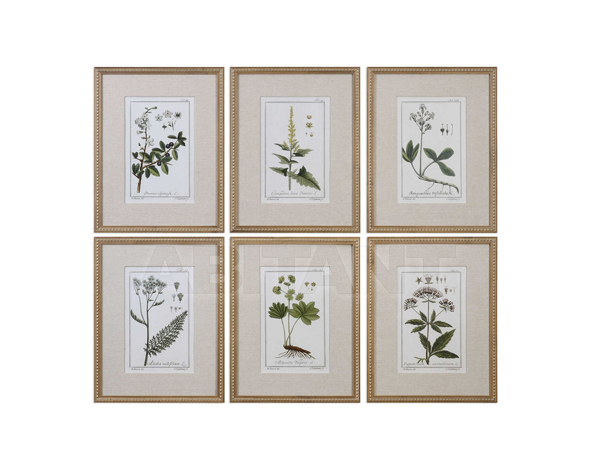 Купить Композиция Green Floral Botanical Study Uttermost Art 33651