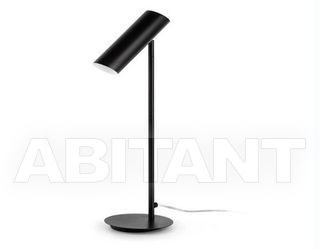 Лампа настольная Faro Home 2013 29882