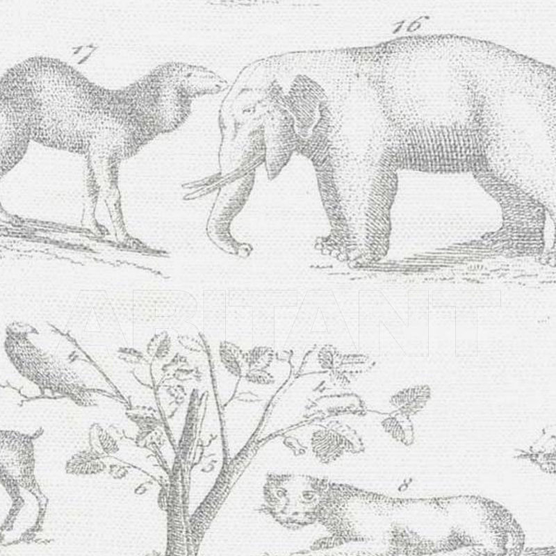 Купить Портьерная, обивочная ткань Andrew Martin Carlotta Jungle Grey