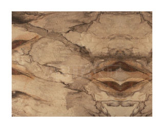 Настенная панель Brabbu by Covet Lounge Bathroom BRONZE RUST | SURFACE