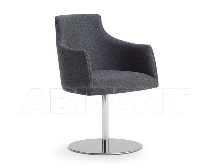 Купить Стул с подлокотниками Accento 2019 ALBERT ONE SC1 ARM